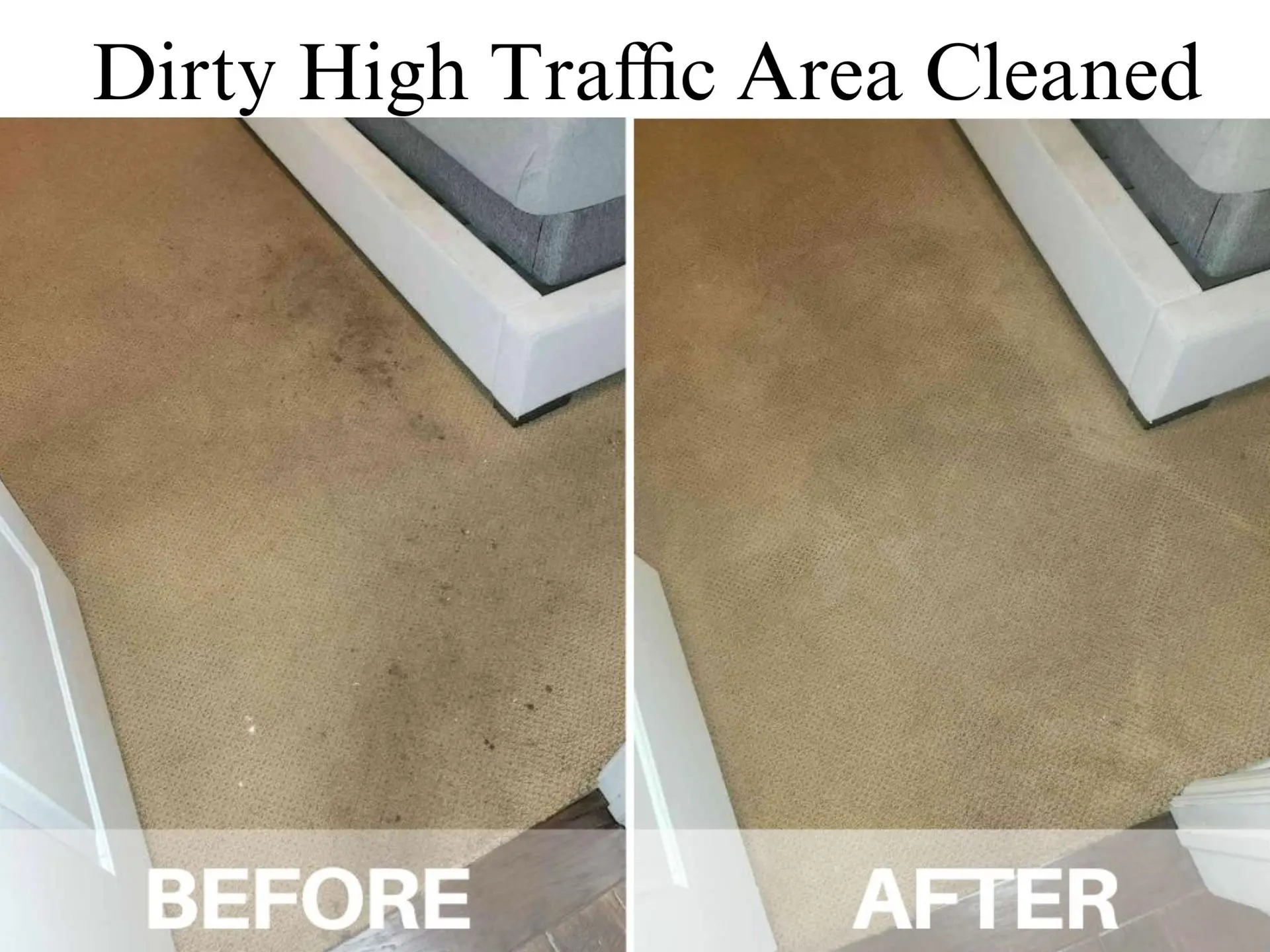 carpet cleaner