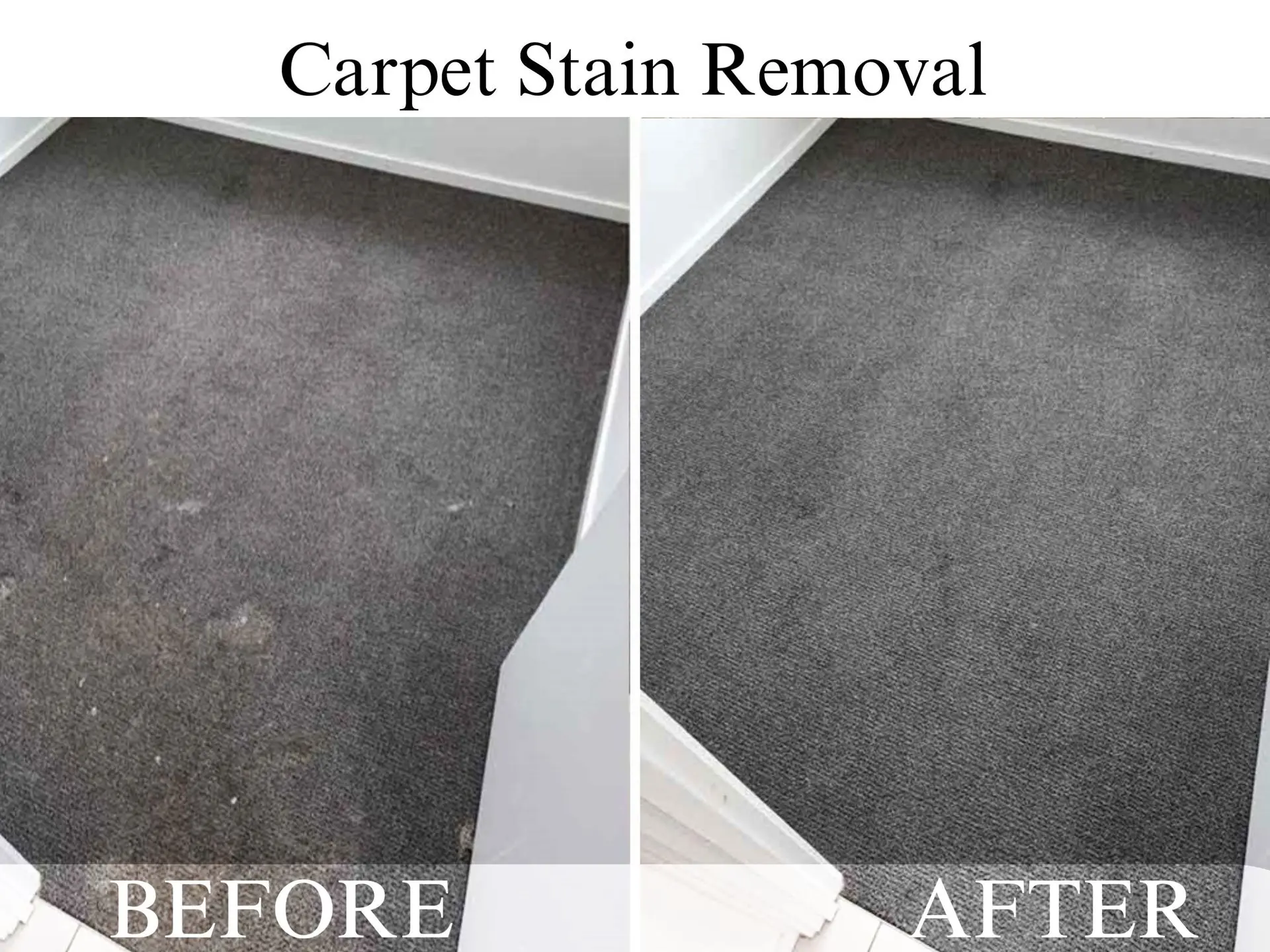 carpet cleaner