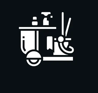 carpet cleaner
